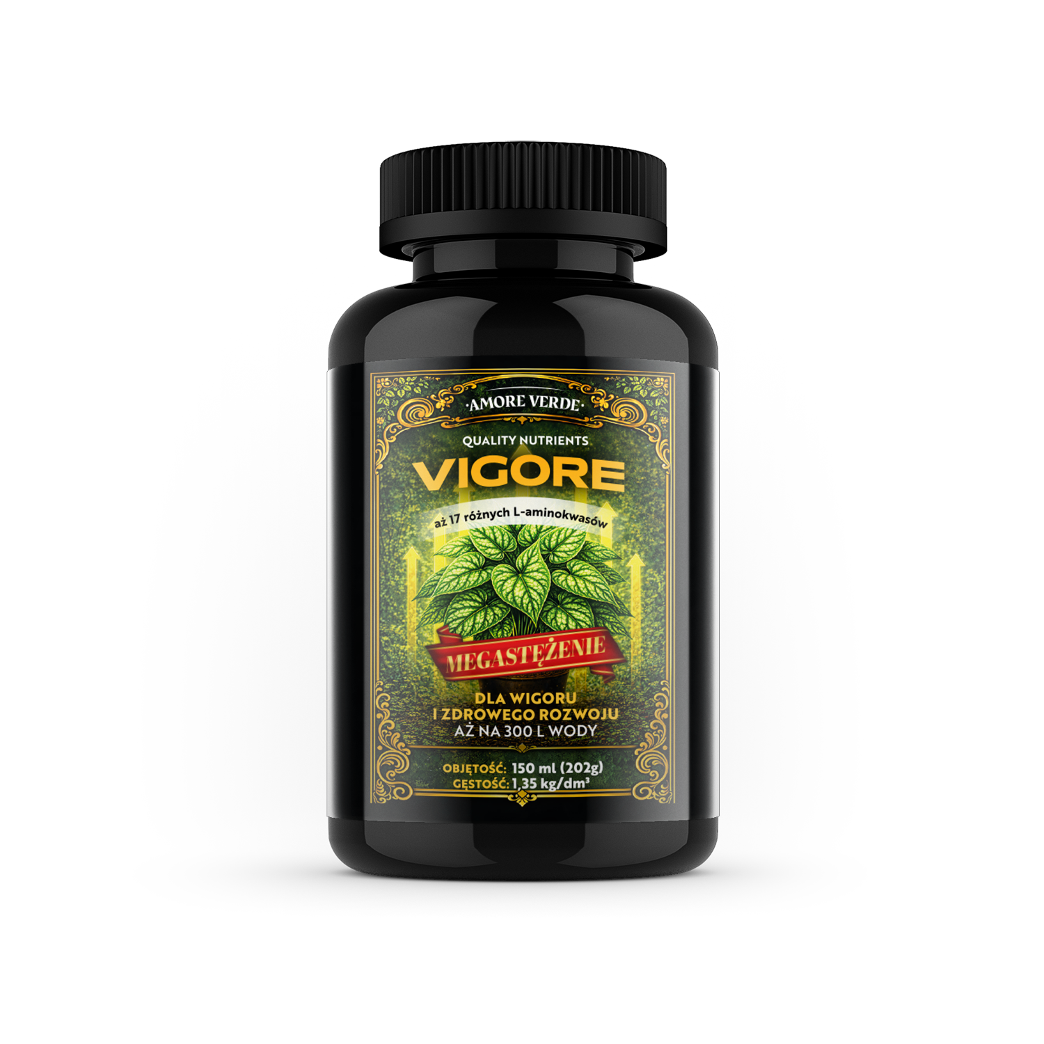 Vigore