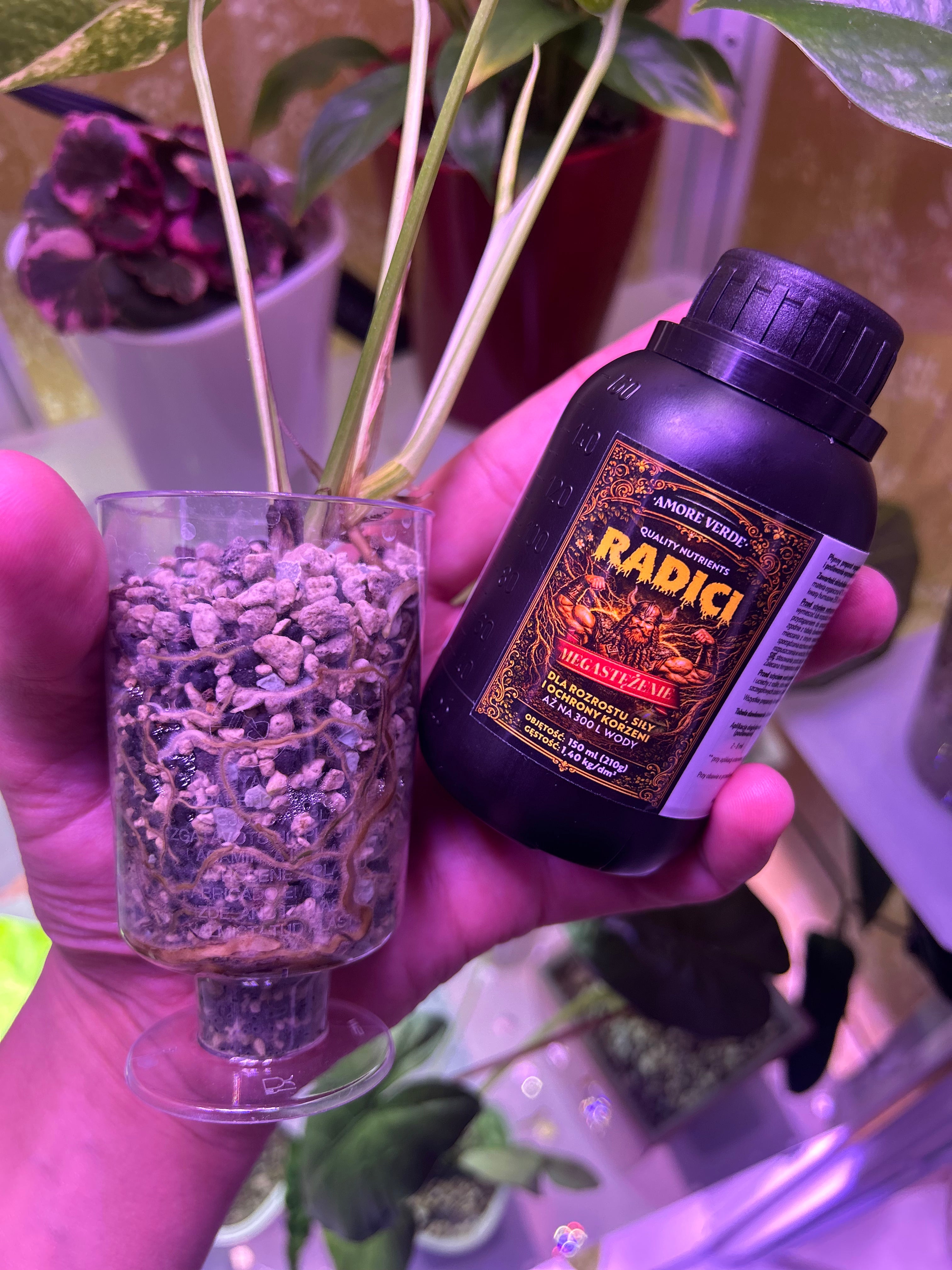 RADICI – Stymulator Rozrostu Korzeni 150 ml