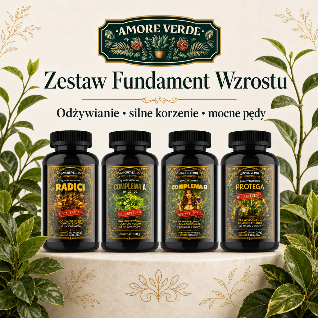 Zestaw - Fundament wzrostu