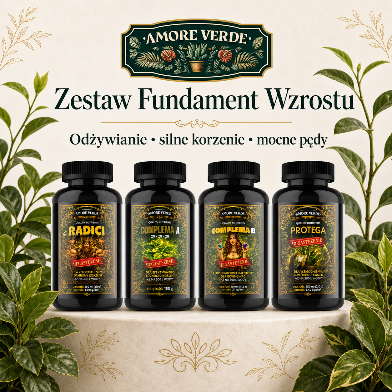 Zestaw - Fundament wzrostu