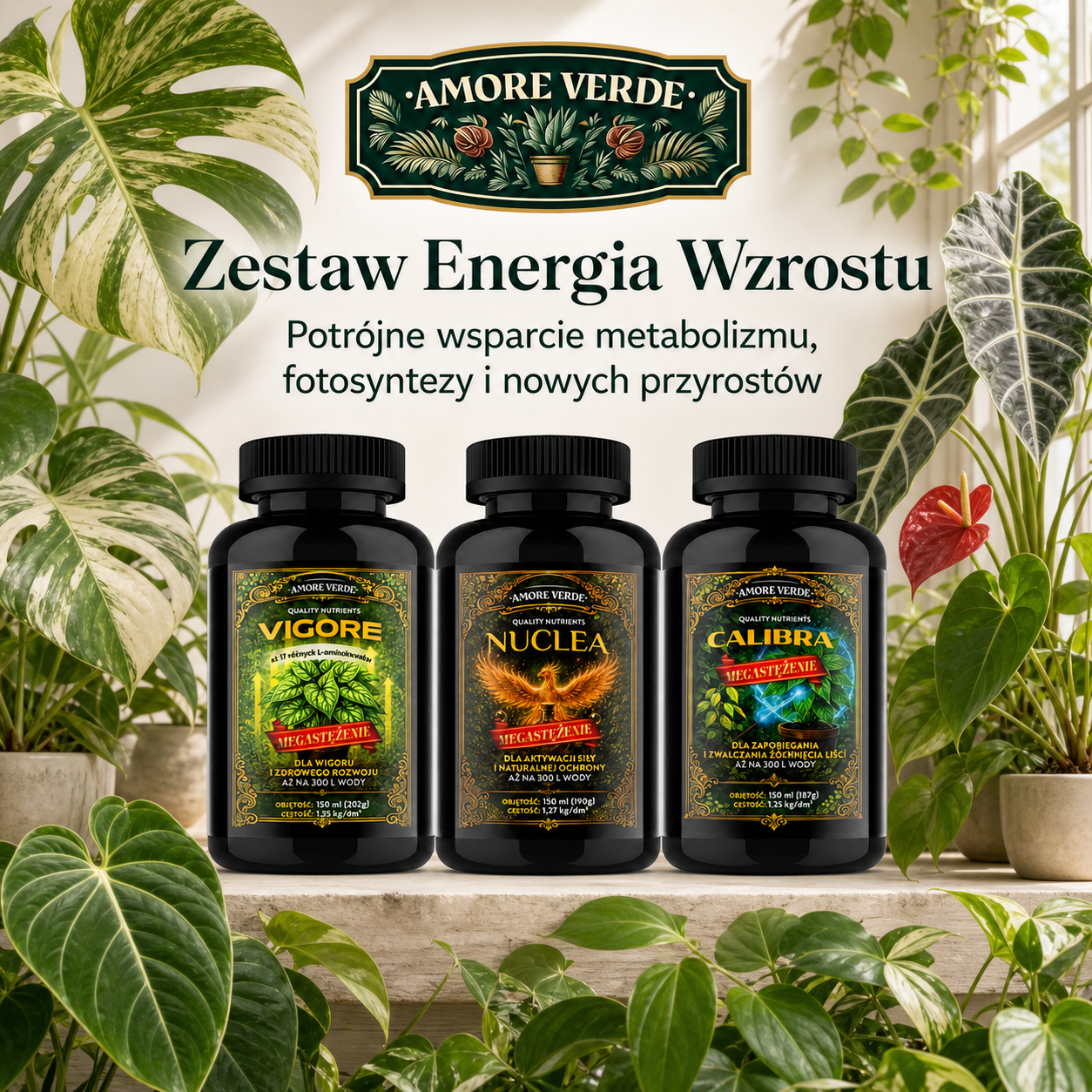 Zestaw - Energia Wzrostu