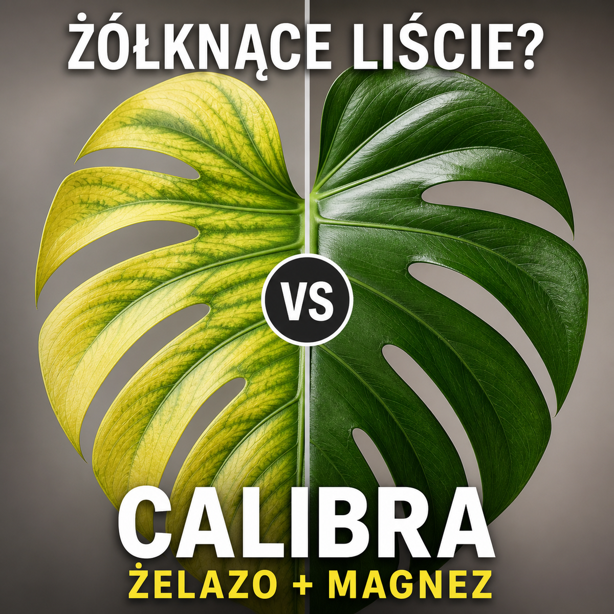 Nawóz CALIBRA - odżywka na żółknące liście i prawidłowe wybarwienie 150 ml - Amore Verde